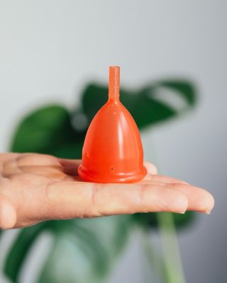 👉 Poprvé a mile překvapil, nebo už roky osvědčený parťák? Podělte se o svou zkušenost s kalíškem! 🧡✨